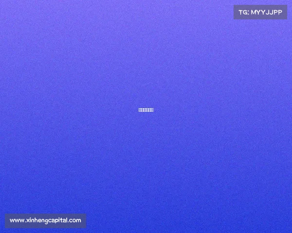 最美赛事作文 最美赛事作文